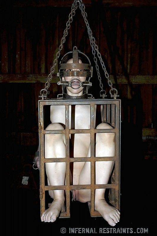 Felonie amateur is put in a cage with clamps on pussy and tits - part 991 page 1